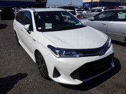 
										Toyota Fielder full									