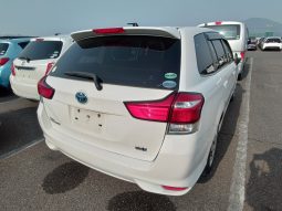 
										Toyota Fielder full									