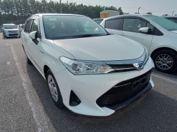 
										Toyota Fielder full									