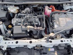 
										Toyota Fielder full									