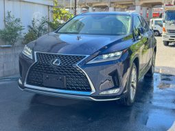 
										Lexus RX full									