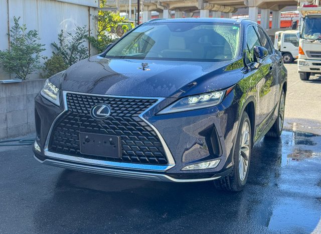 
								Lexus RX full									