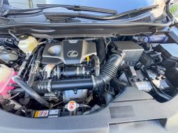 
										Lexus RX full									