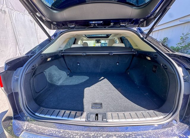 
								Lexus RX full									