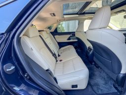 
										Lexus RX full									