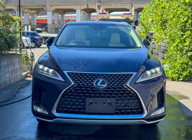 
								Lexus RX full									