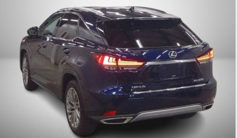 
								Lexus RX full									