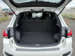 
										Mitsubishi RVR full									