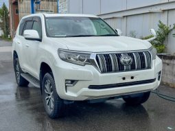 
										Toyota Prado TZ-G full									
