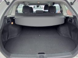 
										Toyota Fielder full									