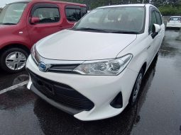 
										Toyota Fielder full									