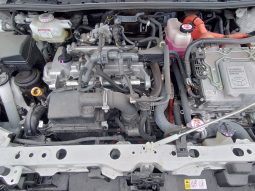 
										Toyota Probox full									