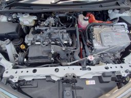 
										Toyota Fielder full									
