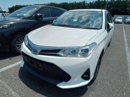 
										Toyota Fielder full									