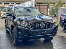 Toyota Prado TX L PKG